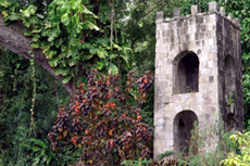 St. Kitts Historic House cruise excursion